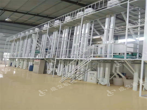 安陽滑縣200噸玉米加工設(shè)備